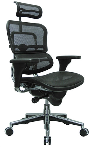 Ergohuman Mesh Office Chair w/Head-Rest by Eurotech