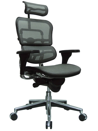 Ergohuman Mesh Office Chair w/Head-Rest by Eurotech