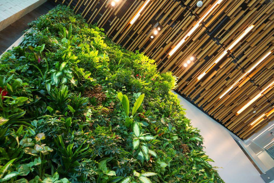 Three Pillars Of Biophilic Design