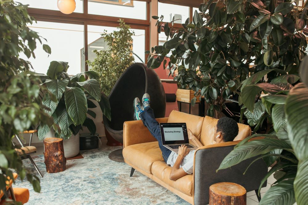 Benefits Of Biophilic Design In The Office