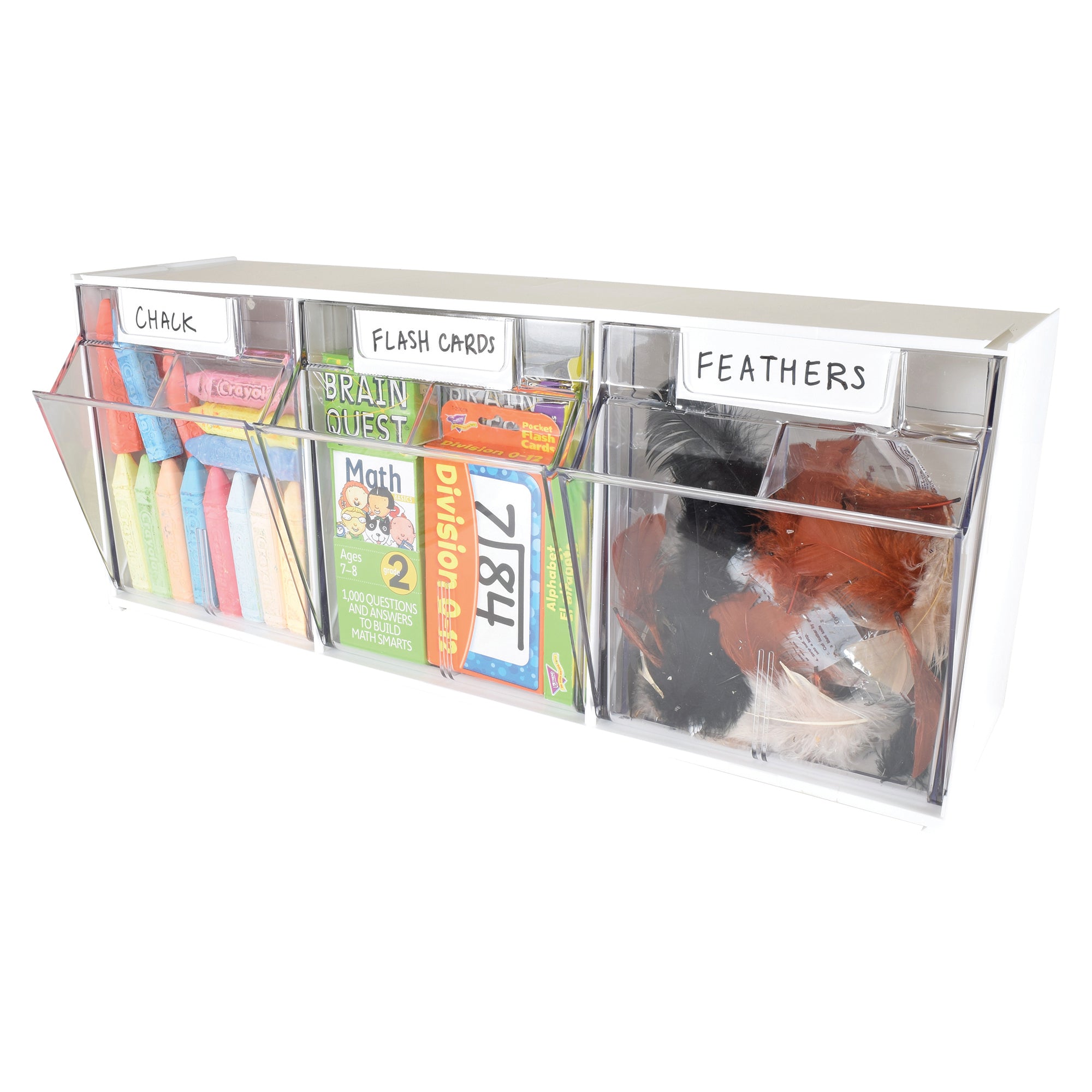 Tilt Bin Interlocking Multi-Bin Storage Organizer