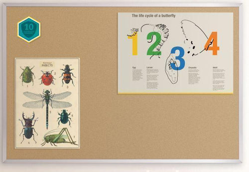 303A - Natural Cork-Plate Tackboard w/Aluminum Trim by Best Rite