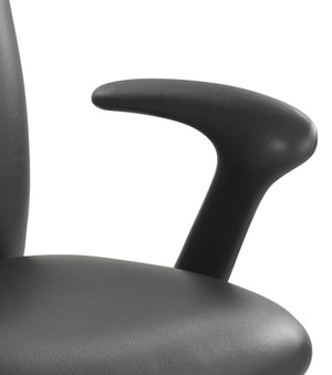 3491 Mid Back Chair / Desk Chair for Big & Tall